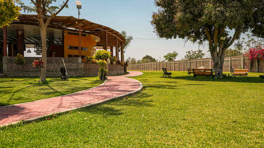 Restaurant y Bar Alta Vista - Áreas verdes